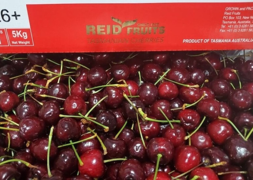 are cherries available in winter